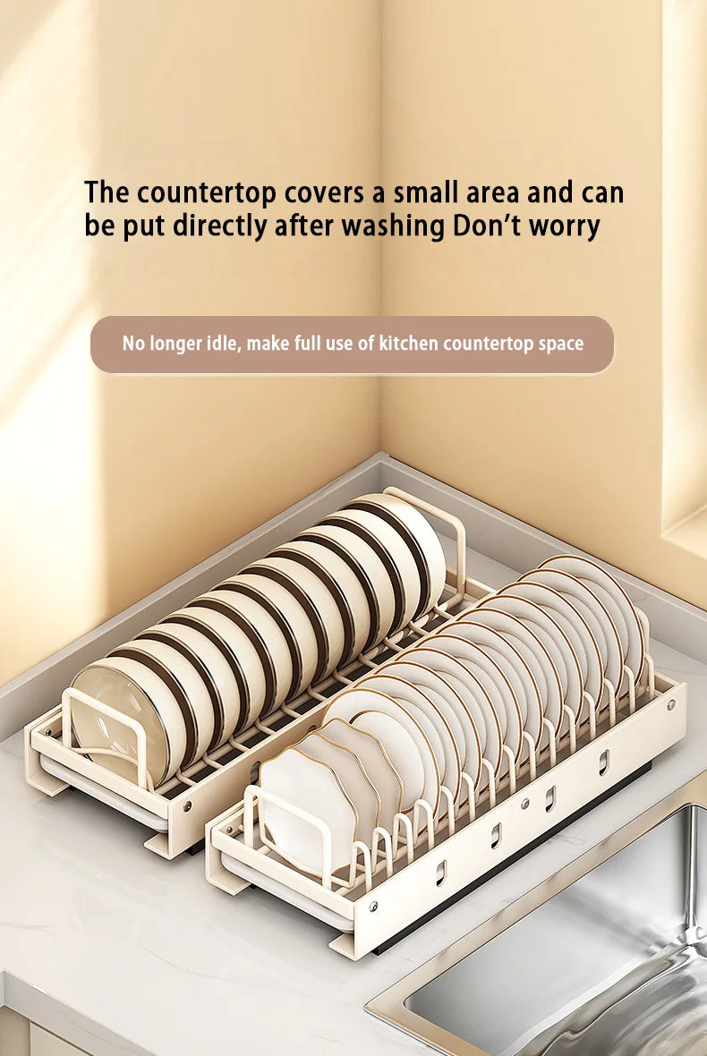 Pull Out Dish Racks Stainless Steel Bowl