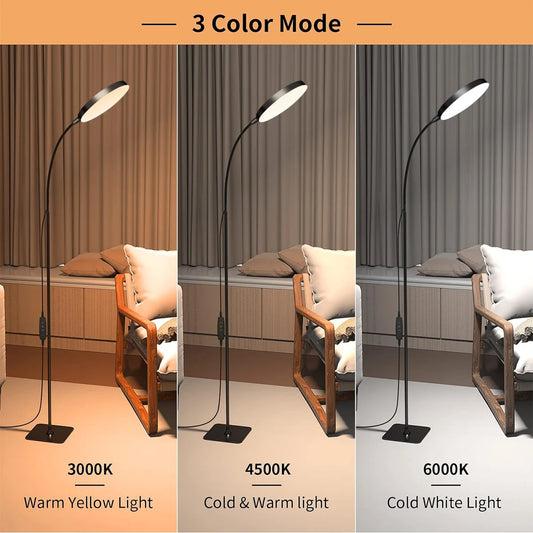 LED Floor Lamp Changeable Reading Lamp