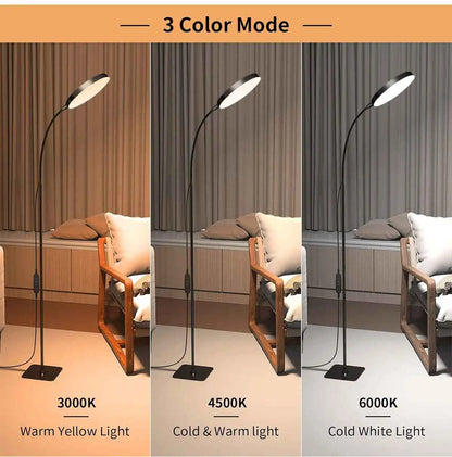 LED Floor Lamp Changeable Reading Lamp