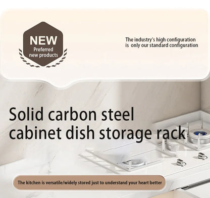Pull Out Dish Racks Stainless Steel Bowl