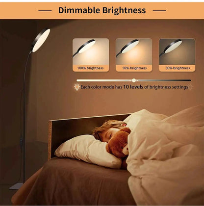 LED Floor Lamp Changeable Reading Lamp